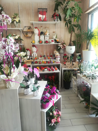 Fioreria Garden Flor