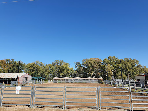 Manilla Team Penning Association inc - Thumbnail
