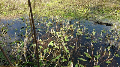 Congaree Creek Heritage Preserve