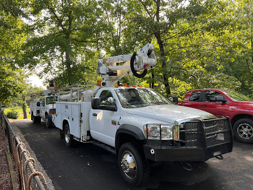 Pro Electric Services - Visual