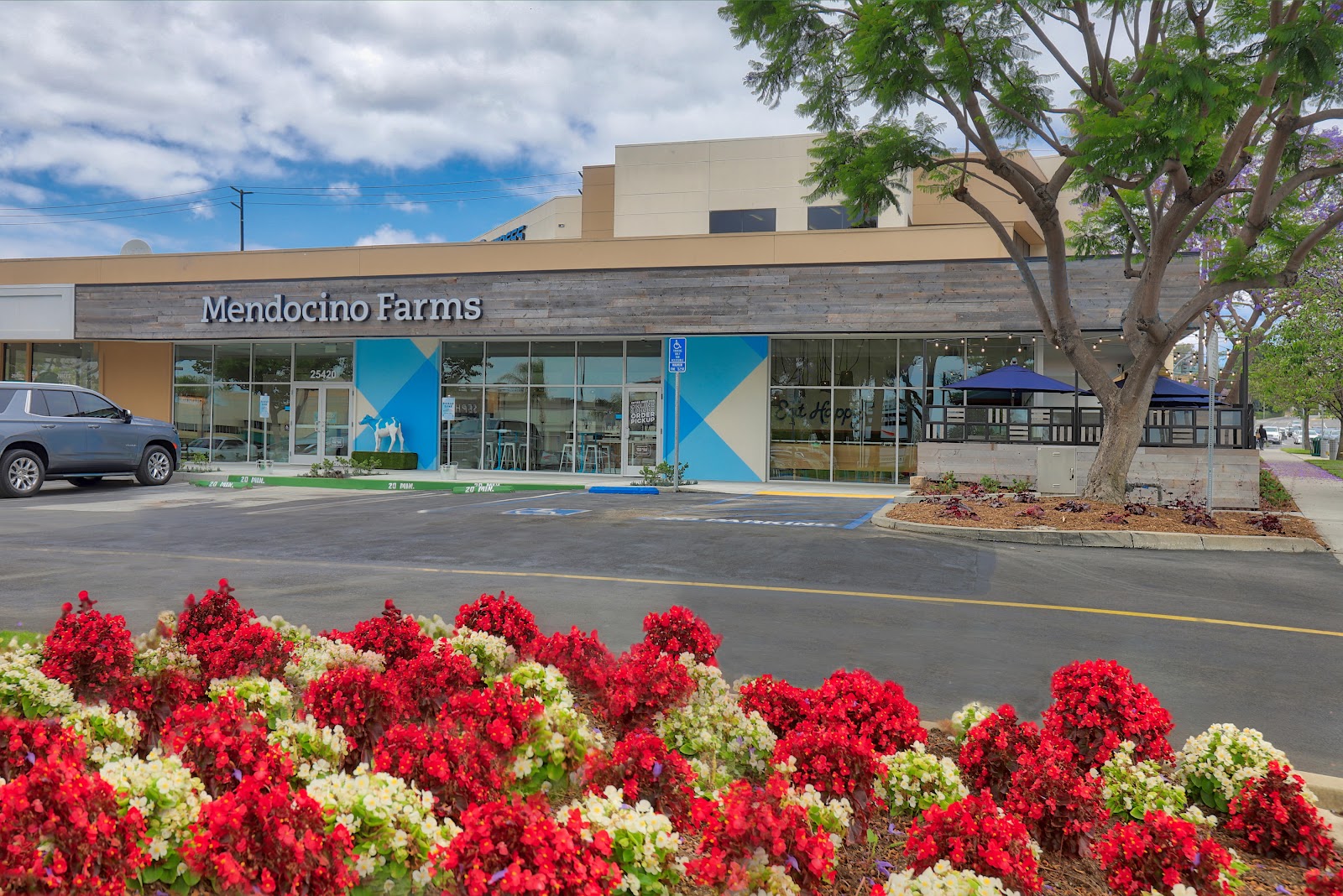 Mendocino Farms — photo 3