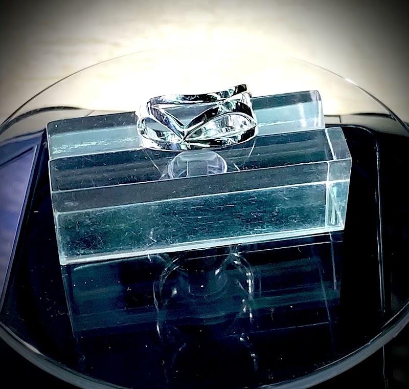 シルバーショップバディ