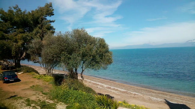 Ψαροταβέρνα Καμίνι
