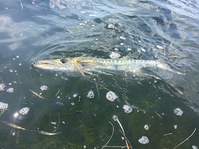 Photos of Florida Keys Fishing Aboard Skins And Fins Fishing Charters And Guides