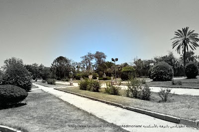 Photos of Antoniades Garden