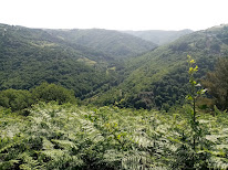 Les Cazelles Grand Vabre à Conques-en-Rouergue