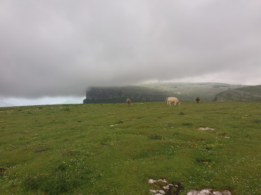 Cima Urieta - Visual
