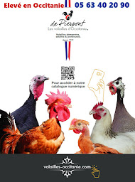 Photo n°22 de GFA de Pierpont à Castelnau-de-Montmiral (Élevage de volailles)