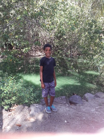 Photos of Vieux Fort Fishing Complex