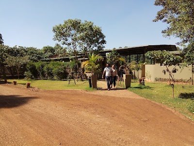 Photos of Karura Forest