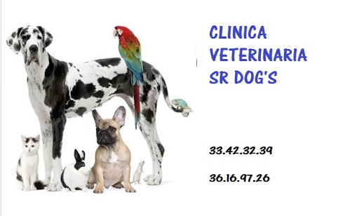 Hospital Veterinario Señor Dog´s