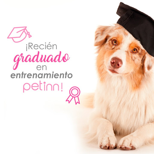 PETINN