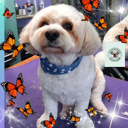 Bow Wow Barbers Dog Spa & Groom