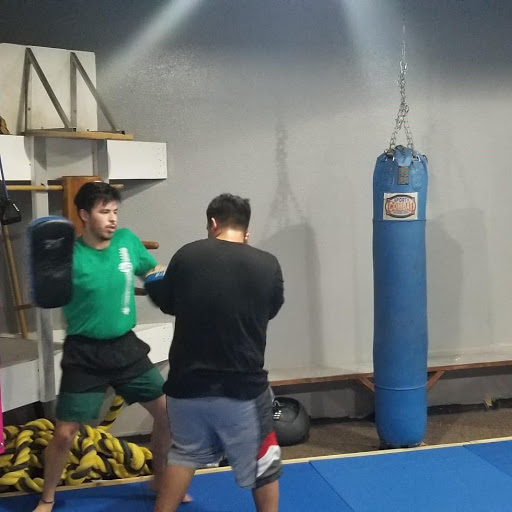 Combat Nation - Visual