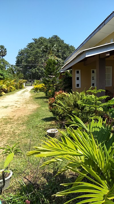 Photos of Palm Villa Guest House