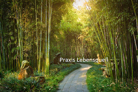Praxis Lebensquell - Praxis für Psychotherapie (Heilpraktikerin für Psychotherapie) - Achern