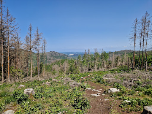 Hutbergsklippe - Thumbnail