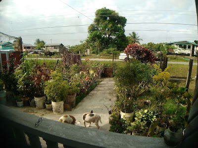 Photos of Sleepin Guest House