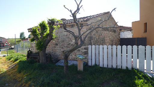 Mata De Quintanar