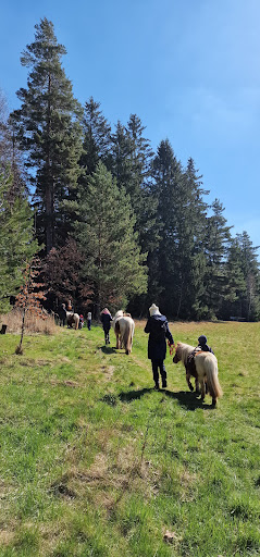 | TIWAP | Tier | Wald | Pädagogik | Plus - Thumbnail
