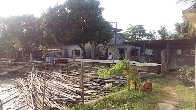 Photos of Halda Fisheries Research