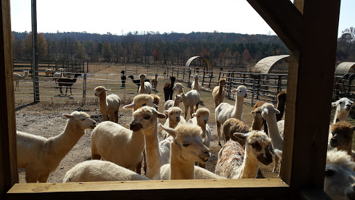 Lazy K Ranch