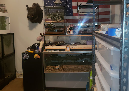 Earle's Exotics