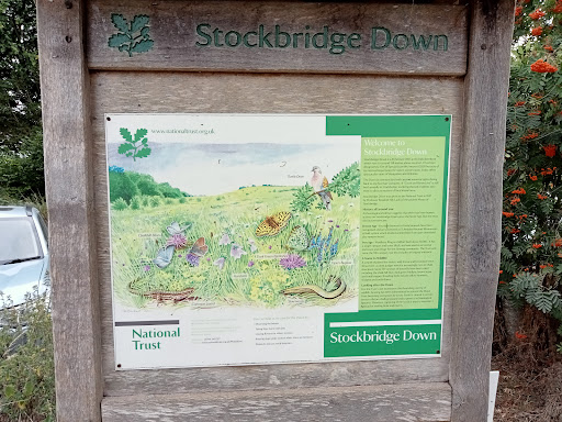 Stockbridge Down - Visual