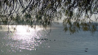 Photos of Camping Embalse R&iacute;o Tercero