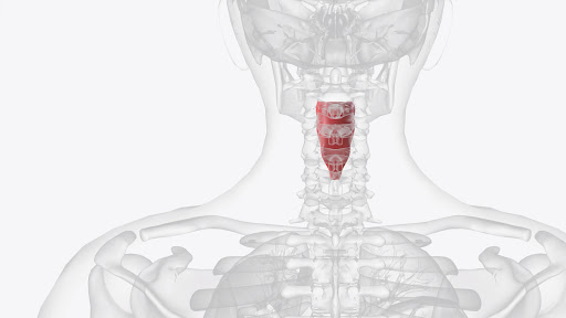 A proper evaluation by an ENT specialist is important to understand the cause of these symptoms a… post image