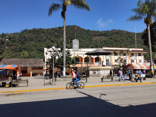 Juan Cortes Moctezuma