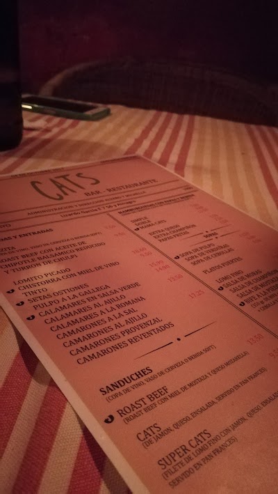 Photos of Cats Caf&eacute; - Bar