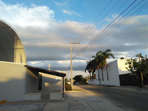 Studies Center of the Americas CELA