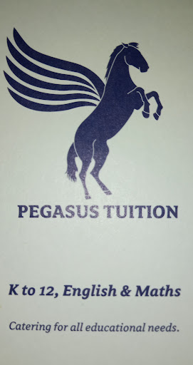 Pegasus Tuition - Thumbnail