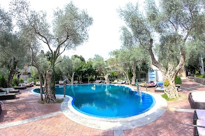 Photos of Hotel Vile Oliva
