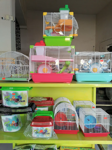 Mascotips - Visual