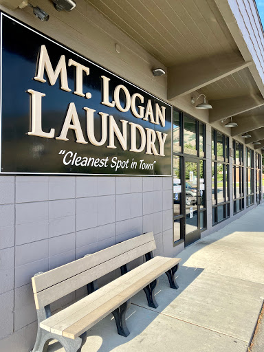 MT Logan Laundry - Visual