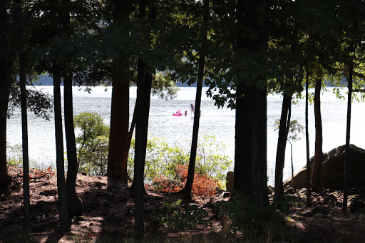 Fraser Beach - Thumbnail