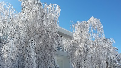 Photos of Zaarour Club - Entrance