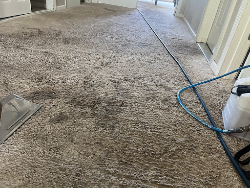 The Cleaning Group - Thumbnail