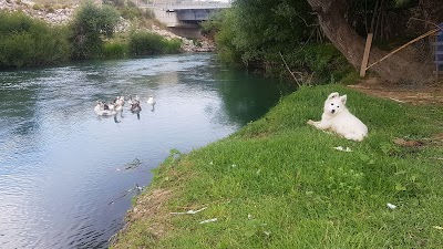 Saranda Camping "Riverside"