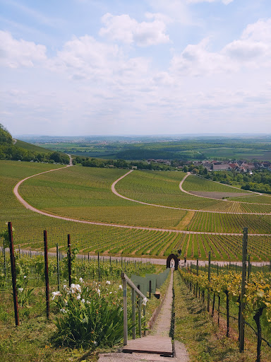 WEITBLICKWEG HOHENHASLACH - Thumbnail