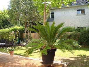 Photo n°6 de EI - CAROLINE BRASSET - Conseillère immobilier - 3G Immo à Châtellerault (Consultant immobilier)