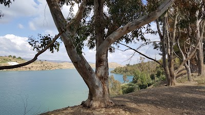 photo of Dam Of Bakhadda