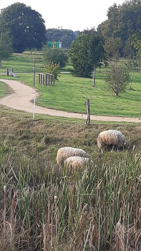 Socopa Viandes - Thumbnail