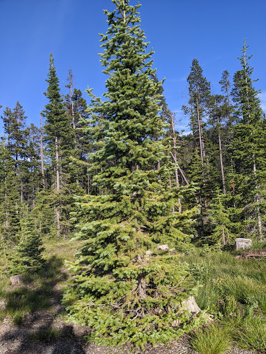 Kings Hill Campground - Thumbnail