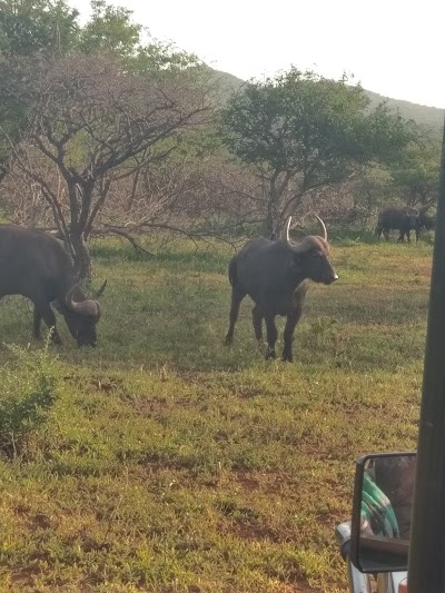 Photos of Rhino River Lodge