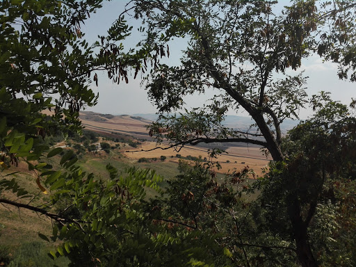 Largo D'alessandro
