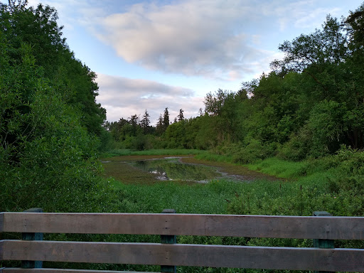 Big Pond