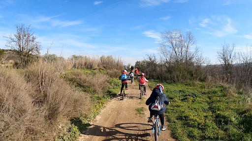 FiteBike - Thumbnail